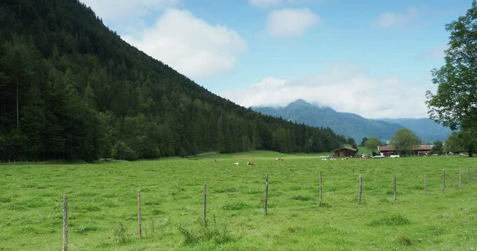 Bayerische Berglandschaft. Weidende K&uuml;he am Fu&szlig;e des Wallbergs &bdquo;Unterwallberg&ldquo; gegen&uuml;ber Rottach-Egern und dem Tegernseer Tal. Am Horizont der Hirschberg unter den Wolken