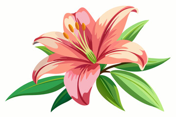 Lily Flower, watercolor clipart illustration with isolated background
