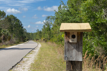A wild bird house at the Flatwoods Conservation Park City of Tampa Nature Conservation Area on of Floridas beautiful Nature Areas. Great for exercise, biking, hiking, running, jogging, bird watching.