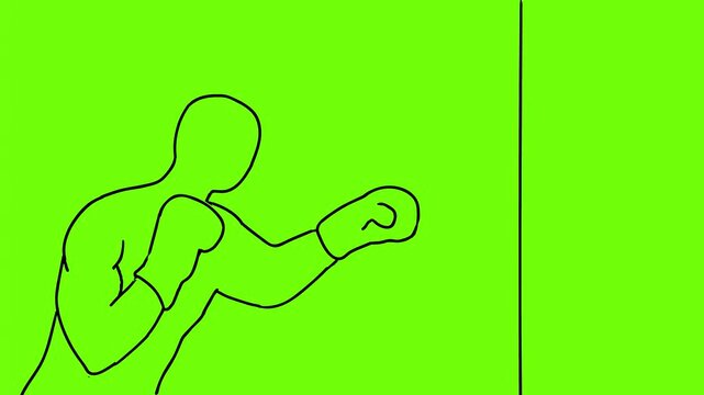 2D Animation motion graphics showing a line drawing of a boxer boxing jabbing viewed from side on white screen, green screen and black background in 4k ultra-high-definition.