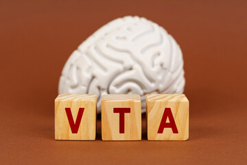 Exploring the ventral tegmental area in neuroscience with creative wooden blocks