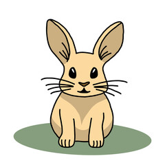 BUNNY SITTING ON THE GRASS