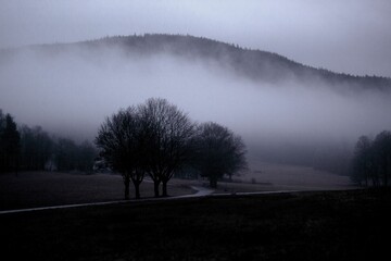 Foggy landscape after rain, trees and mysterious hill at the background, dark and grey tones, crime...