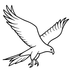 illustration of an eagle