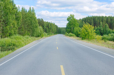 Fototapeta premium The road goes into the distance with a woodland area on the side.