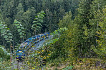 Passengers were late for the train which left on the rails over the bridge towards the mountains
