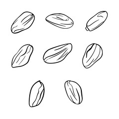 Dates Fruit Simple Black Line Art Silhouette Illustration Elements