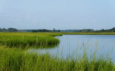 A peaceful view of Canary Creek in the early morning near Lewes, Delaware, U.S © Khairil