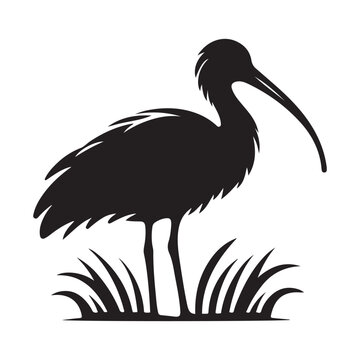 recommend clip art: Black Headed Ibis Silhouette Vector Illustrations - Perfect for Designers