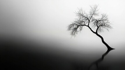   A monochromatic image of a solitary tree standing in a hazy environment with its mirrored representation in the water