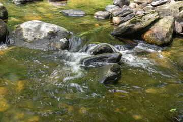 willard brook cascading through the state forest