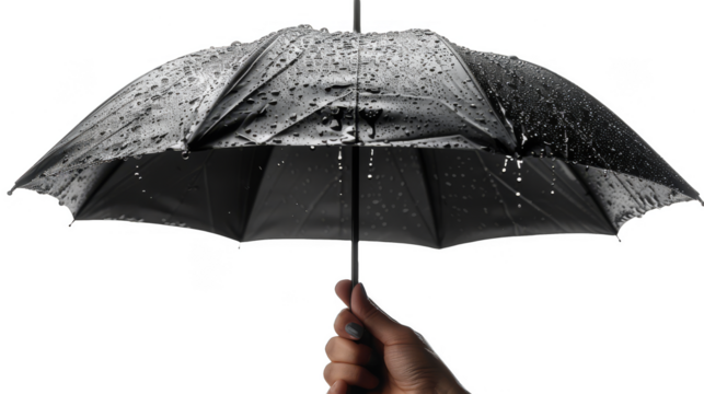 Hand holding a black umbrella isolated on transparent background - Powered by Adobe