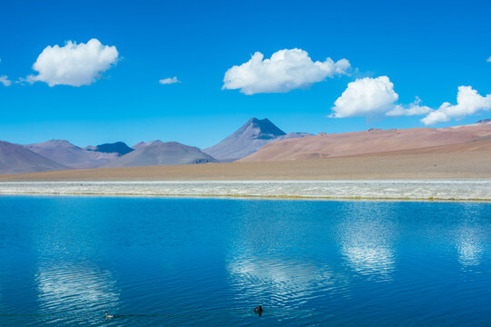 View of Laguna Diamante (Diamond Lagoon) and Cerro Pilli  in the distance at the Route of the Salt Flats - Atacama, Chile