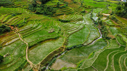Rice terraces and a stream in the mountains of Sa Pa, Vietnam, seen from above