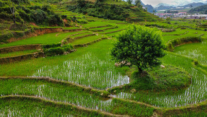 Rice terraces and a stream in the mountains of Sa Pa, Vietnam, seen from above