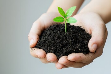 Hands holding soil with young plant sprouting