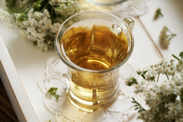 Yarrow tea in a cup with fresh blooming Achillea milefolium plant
