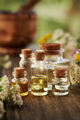 Several bottles of aromatherapy essential oil with summer flowers and herbs