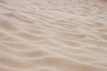 Soft sand ripples formed by wind on the beach.