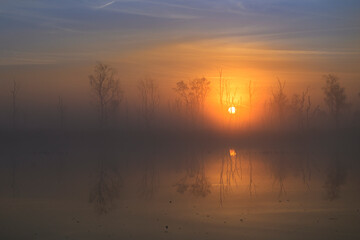 Fototapeta premium Morgenstimmung