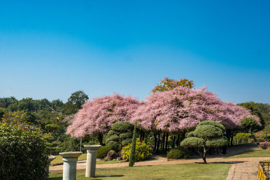 Parque Maeda em Itu, SP- Um Ref&uacute;gio de Natureza, Divers&atilde;o e Tradi&ccedil;&atilde;o Japonesa no Interior Paulista