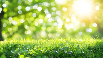 Obraz premium With blurred bokeh and trees in a park, this is a natural grass field background