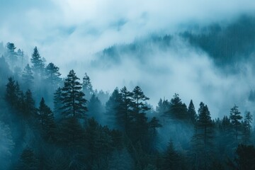 Fog is rolling through a mountain forest of evergreen trees, creating a moody blue color effect