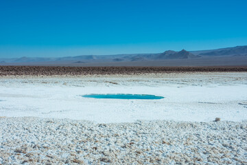 View of the Hidden Lagoons of Baltinache (Lagunas Escondidas de Baltinache) - Atacama, Chile