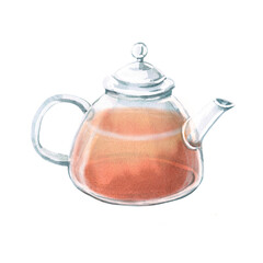Transparent teapot with tea inside in watercolor. Isolated illustration in realistic style for design of menu of restaurants, cafes, tea shops, cookbooks. Tea ceremony