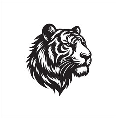 silhouette of a horse