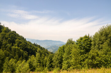 Scenic landscape view of a lush green forest with dense trees in the foreground and rolling hills and mountains in the background under a clear sky with wispy clouds. Carpathian Mountains, Ukraine