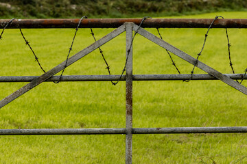 A gate on farmland with barbed wire wrapped around it