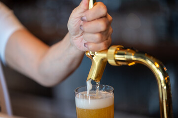 ビールを注ぐ瞬間