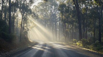 Obraz premium Sunbeams Through Trees Illuminating a Winding Road