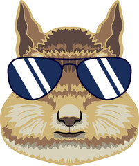Chipmunk Face Aviator Sunglasses