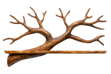 Fototapeta premium Wooden Tree Branch Shelf