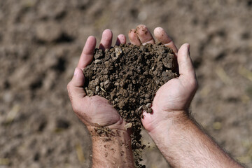 Agriculture concept. Gardening season. Gardener hold fertile soil in hands. Farmer with soil for gardening in hands. Mud on field. Soil for growing plants. Soil texture background.