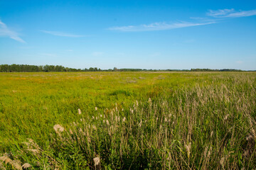 Natural area of the Lake of Peteri in Hungary