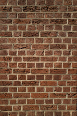 Fototapeta premium Brick wall background. Stone cladding. Clinker brickwall background. Brickwork backdrop for design. Rough brick wall.