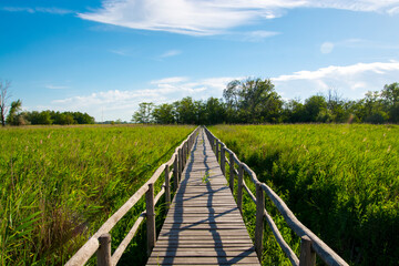 Natural area of the Lake of Peteri in Hungary