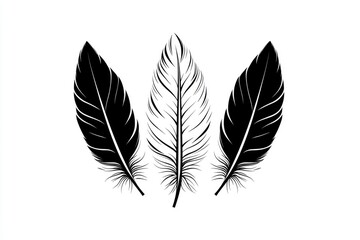 Obraz premium Three Black Feathers Isolated on White Background