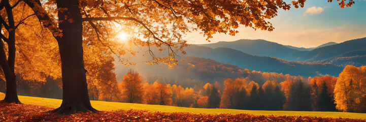 Autumnal Landscape with Sunrays Panorama Background
