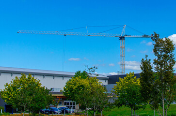 Construction Crane Above Modern Building with Trees and Clear Blue Sky