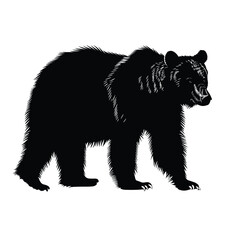 Fototapeta premium Black and white illustration of a bear standing against a white background.