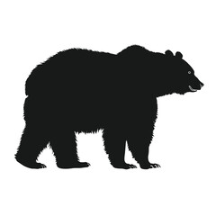 Silhouette of a large bear standing on all fours against a white background.