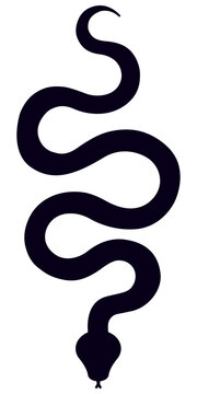 Snake black silhouette. Vector illustration