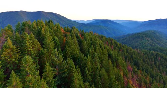 Warm Sunset Fall Colors Wilderness Forest Aerial Drone