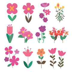 Colorful vector illustrations of various flowers with vibrant pink, purple, orange, and yellow hues on a white background.