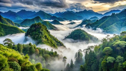 Majestic mist-shrouded mountains surround serene Wolong Valley, a tranquil nature reserve in China's Sichuan Province, home to giant pandas and lush bamboo forests.