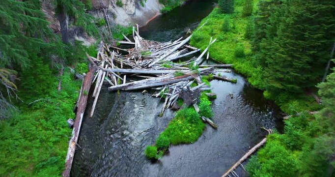 Beaver Dam on River Oregon Aerial Drone